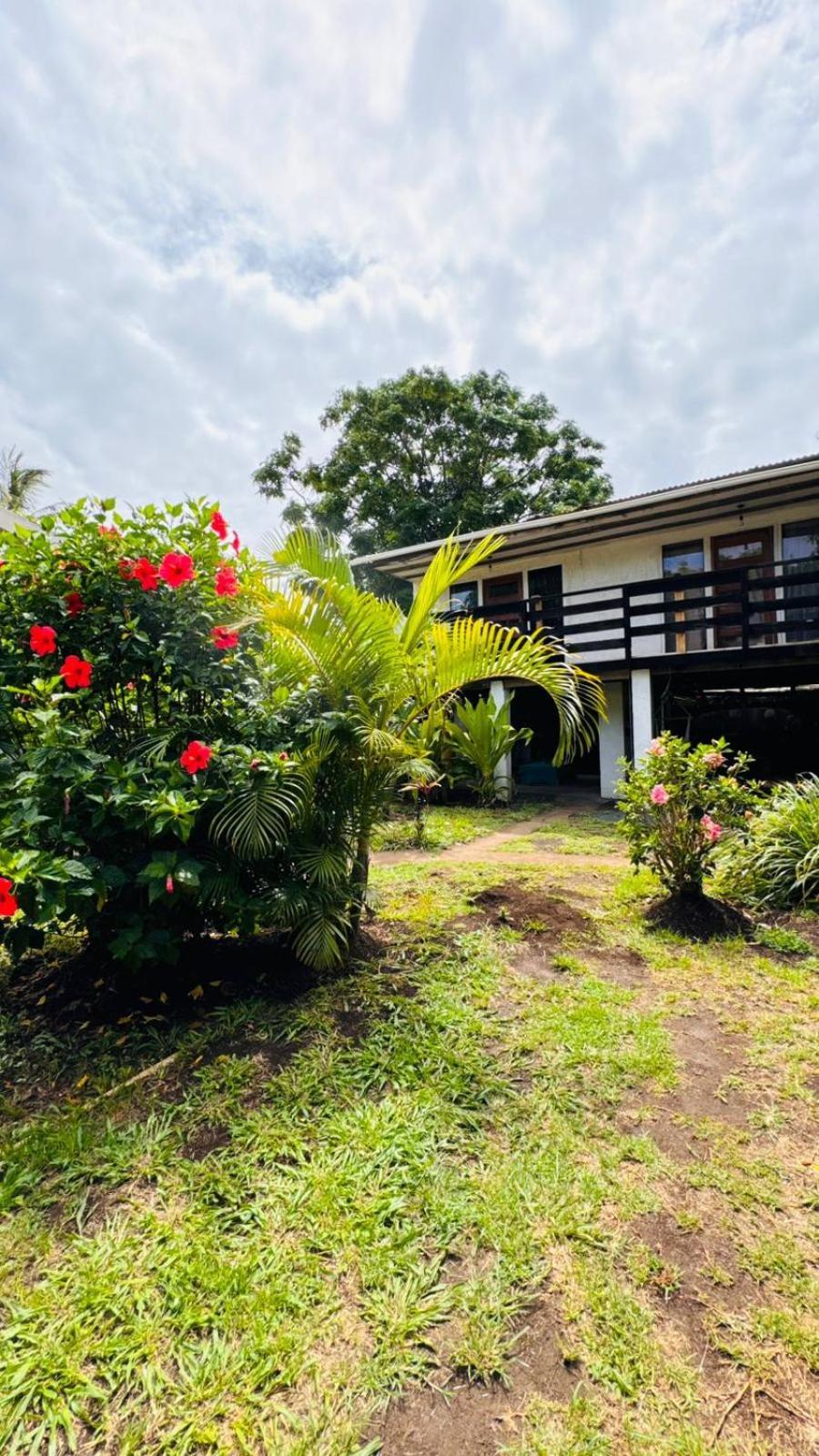 Mata Nui Eco Hostel هانجا روا المظهر الخارجي الصورة