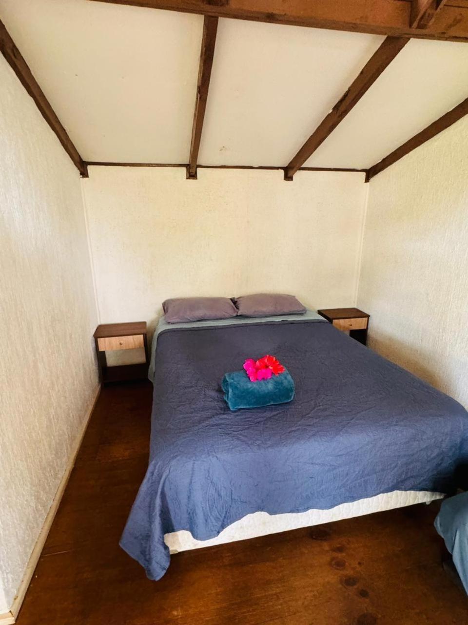 Mata Nui Eco Hostel هانجا روا المظهر الخارجي الصورة