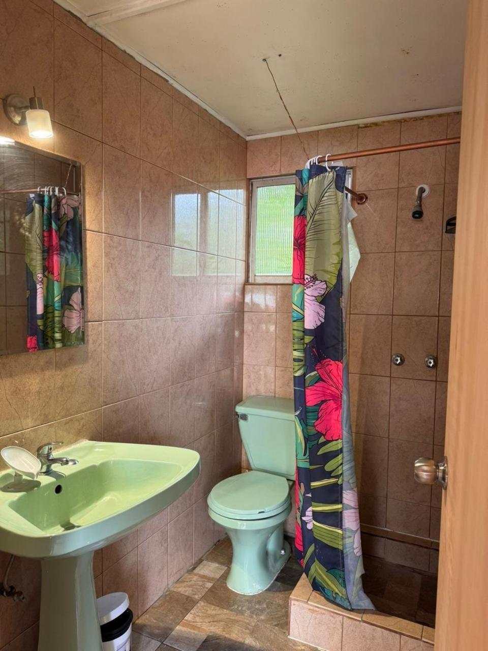 Mata Nui Eco Hostel هانجا روا المظهر الخارجي الصورة