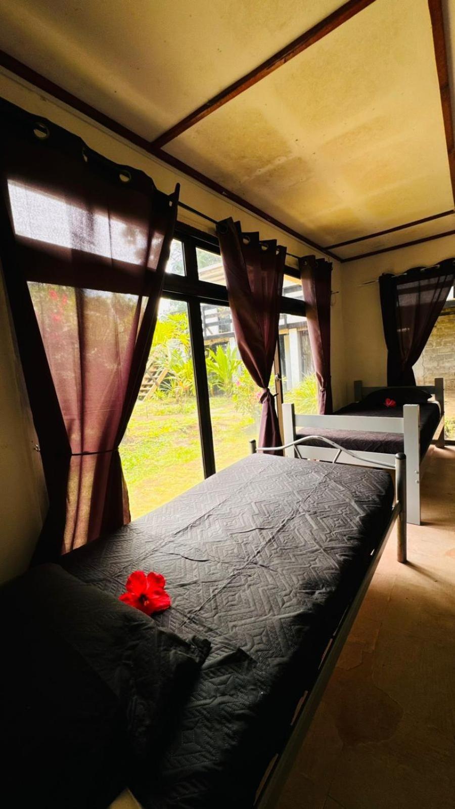 Mata Nui Eco Hostel هانجا روا المظهر الخارجي الصورة