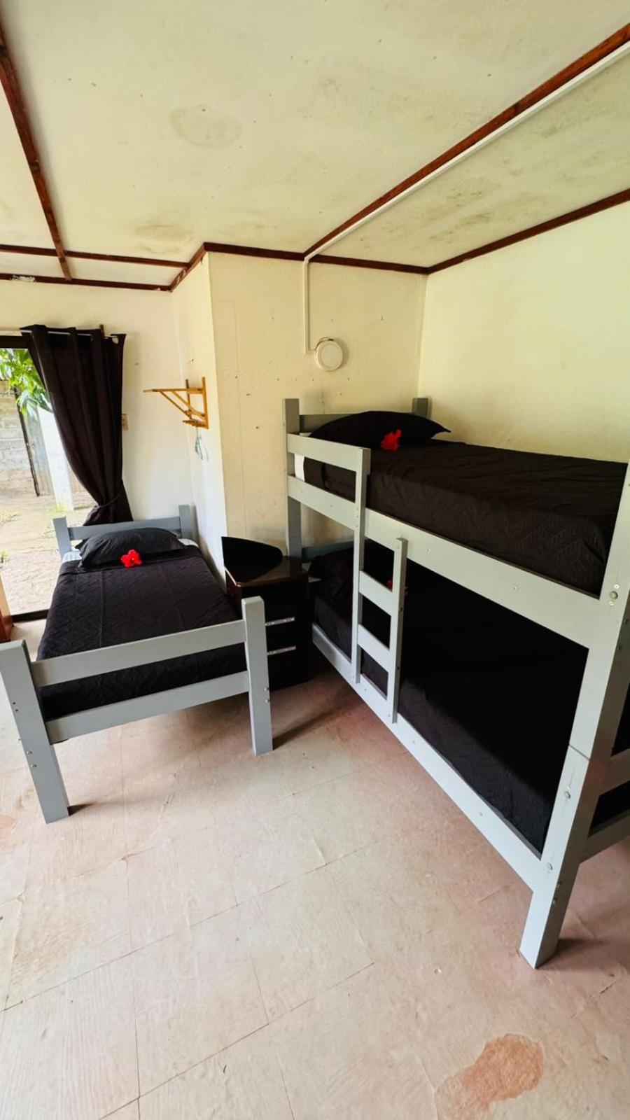 Mata Nui Eco Hostel هانجا روا المظهر الخارجي الصورة
